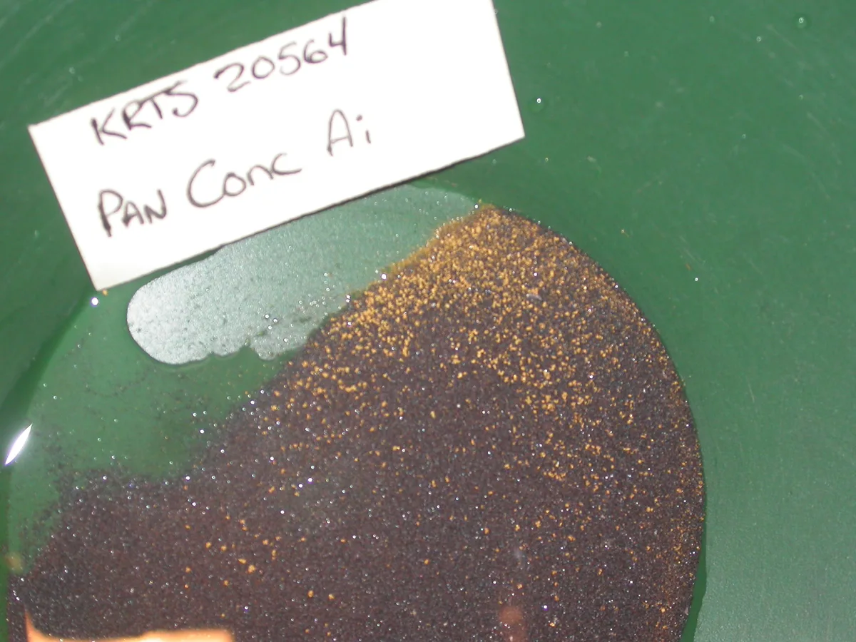 Gold pan holding a dark heavy-mineral concentrate speckled with many fine particles of visible gold, beside a handwritten label reading KRTS 20564 Pan Conc Ai.