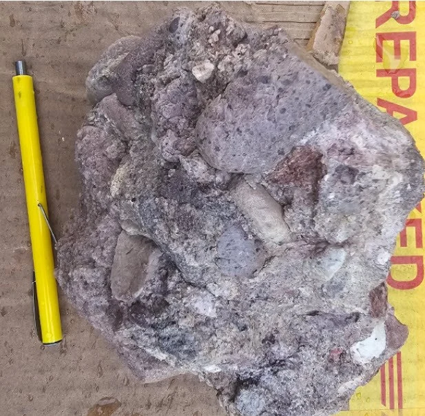Figure 1 — Polymictic Chicken Coop conglomerate with heterolithic subangular to rounded clasts in a sandy to felsic volcanic ash matrix.