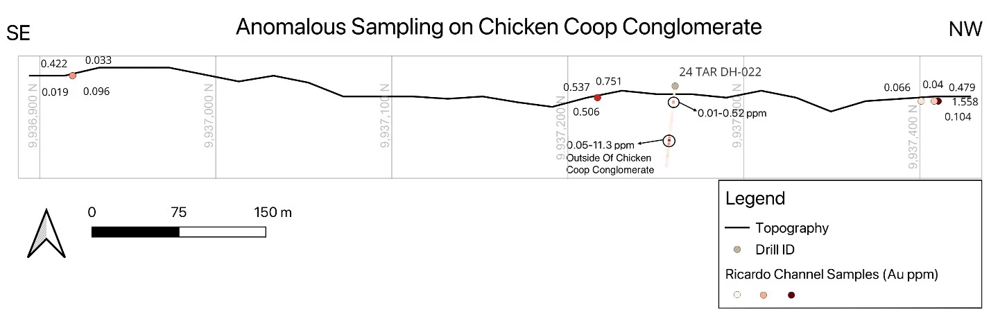 Figure 2 — Gold concentrations along the Chicken Coop conglomerate, with elevated values over the southeastern portion of the strike length.